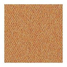 Ковровая плитка Tessera Chroma 3623 tangerine