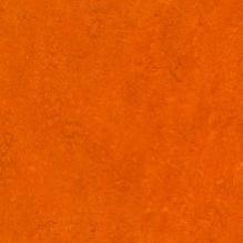 Линолеум Marmoleum Real 3126 Forbo